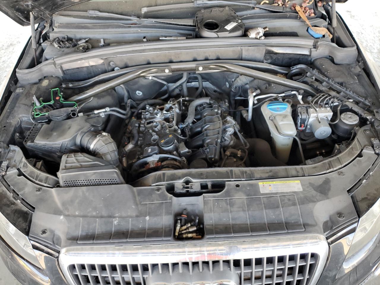 2011 Audi Q5 Premium Plus VIN: WA1LFAFP1BA030590 Lot: 64879115