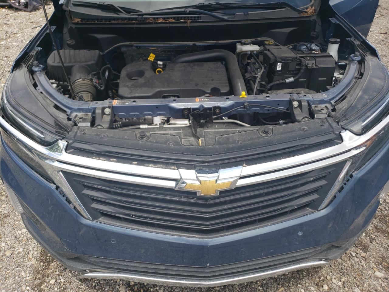 2024 Chevrolet Equinox Lt VIN: 3GNAXKEG9RL167272 Lot: 65349635