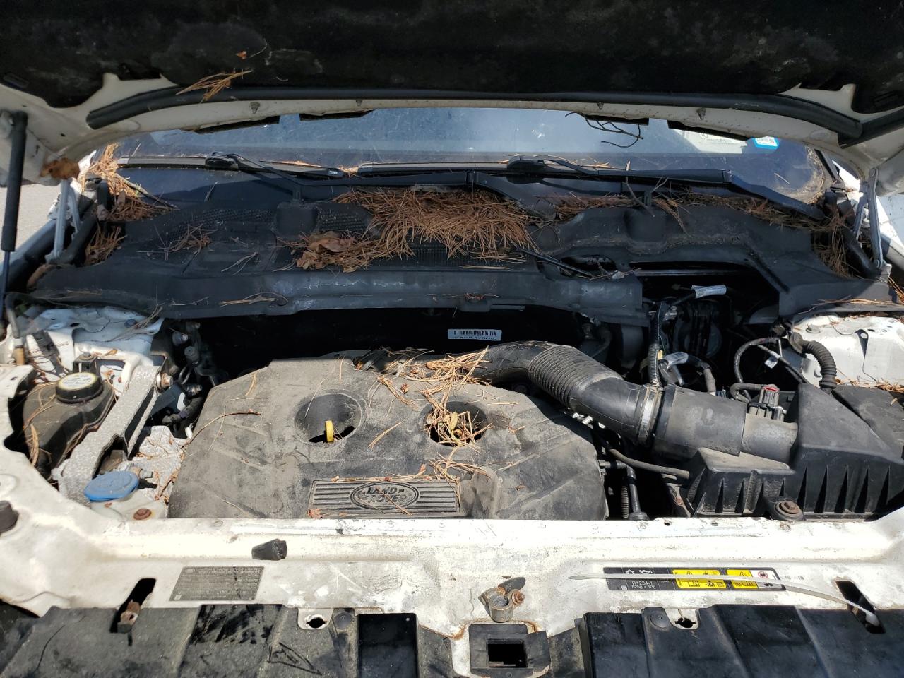 2015 Land Rover Discovery Sport Hse VIN: SALCR2BG2FH543037 Lot: 65381665