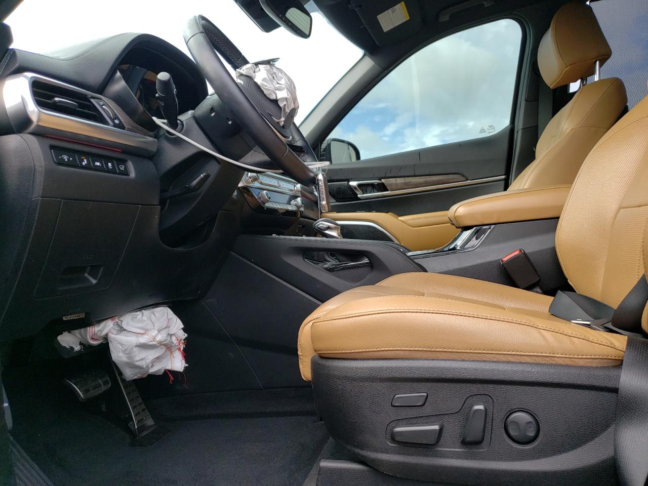 2022 Kia Telluride Sx VIN: 5XYP5DHCXNG324600 Lot: 63943025