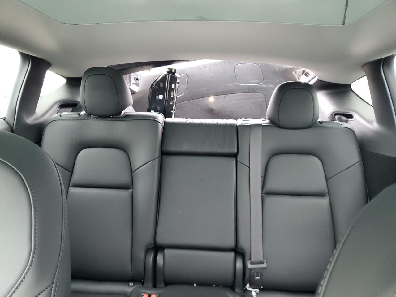 2024 Tesla Model Y VIN: 7SAYGDEE4RF029643 Lot: 66671295