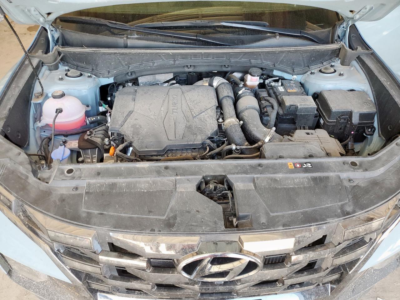 2024 Hyundai Santa Cruz Limited VIN: 5NTJEDDF6RH123220 Lot: 64478085