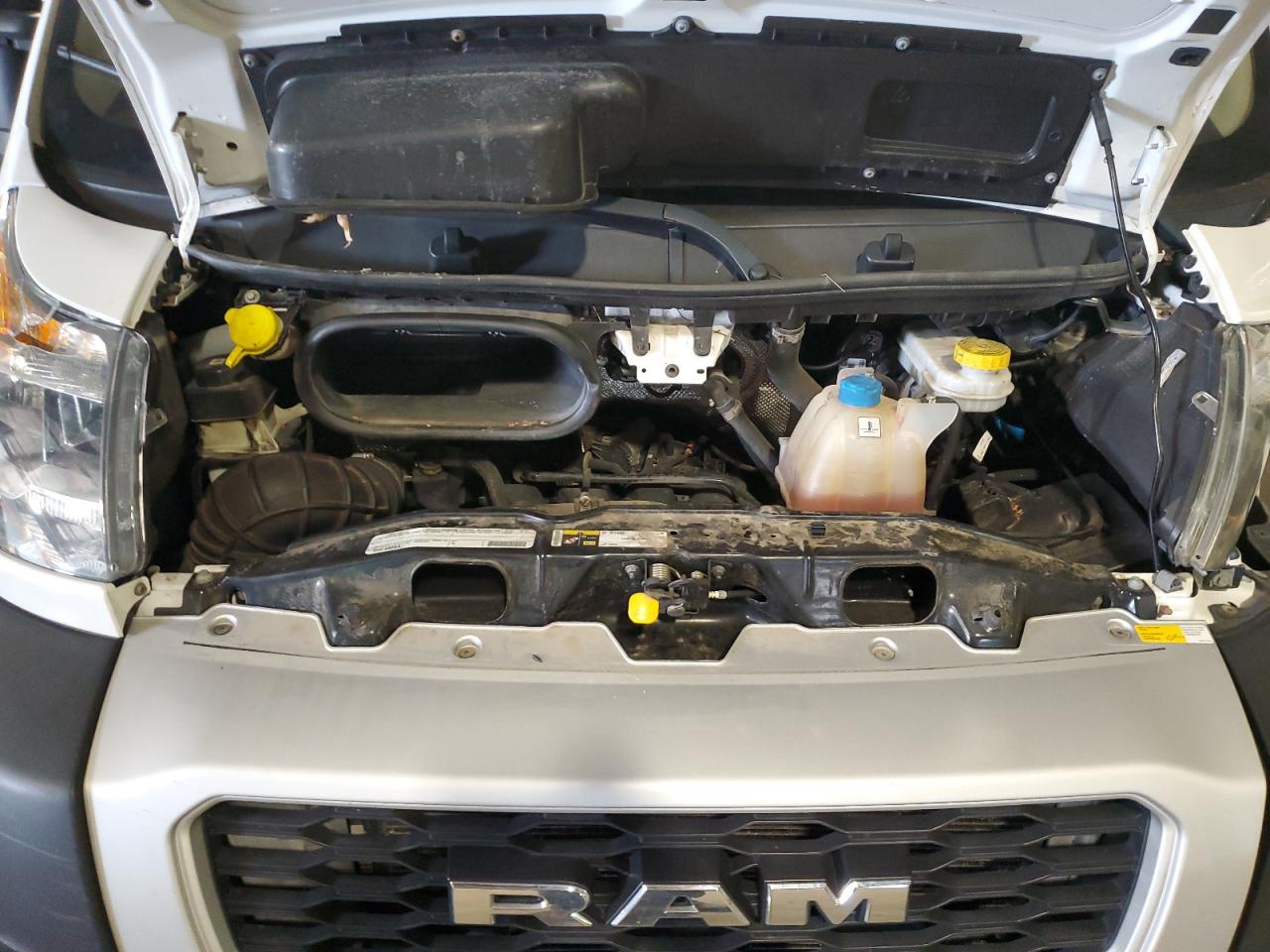 2019 Ram Promaster 1500 1500 Standard VIN: 3C6TRVAG6KE559503 Lot: 64945395