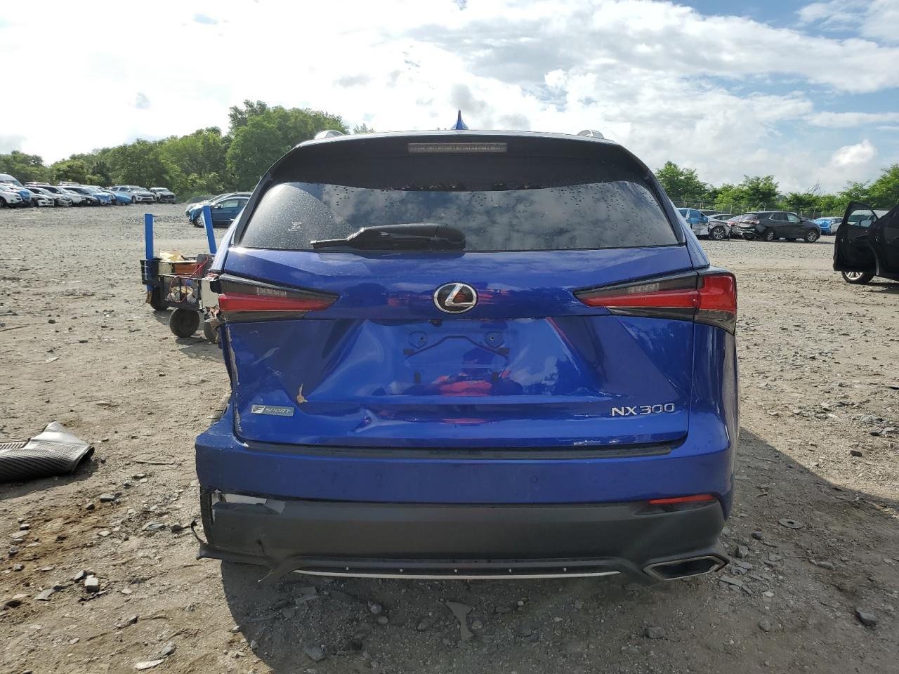 2019 Lexus Nx 300 Base VIN: JTJYARBZ6K2123418 Lot: 62766745