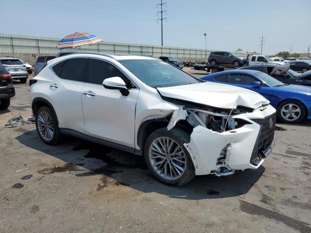  LEXUS NX 350H BA 2024 Biały