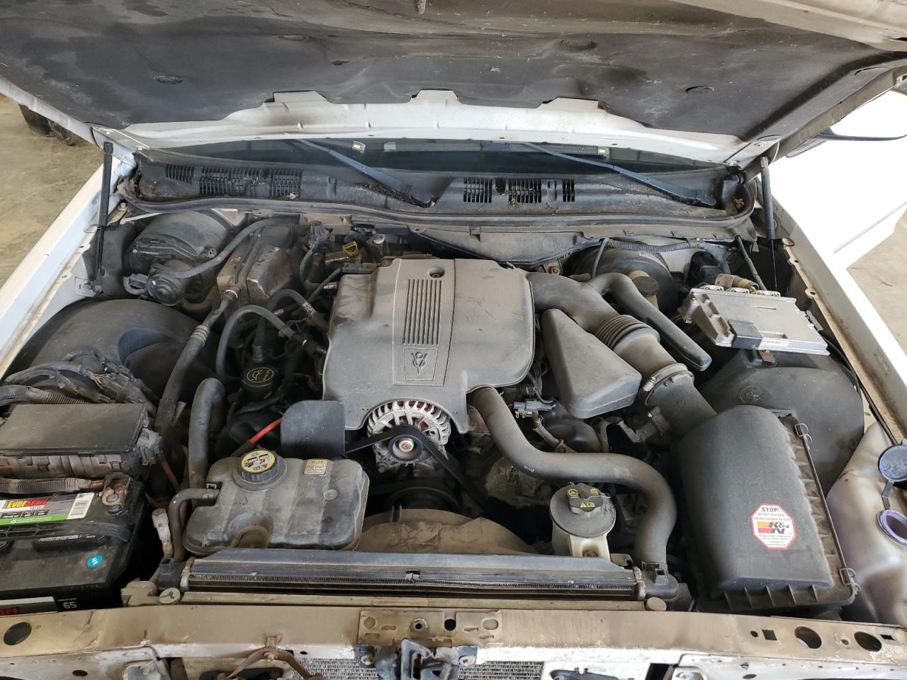 2007 Mercury Grand Marquis Ls VIN: 2MEFM75V77X600973 Lot: 63976485