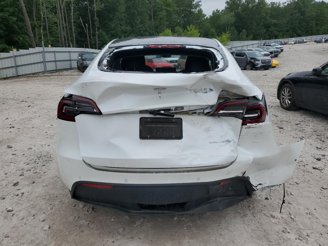 2021 Tesla Model Y VIN: 5YJYGAEE2MF256480 Lot: 62661285