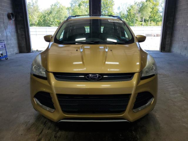 Parquets FORD ESCAPE 2014 Złoty