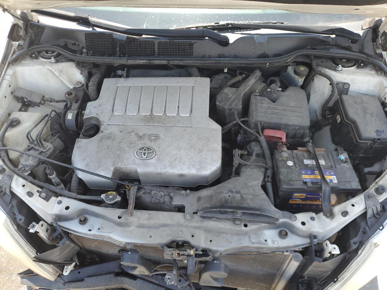 2009 Toyota Venza VIN: 4T3BK11A49U010216 Lot: 64822175