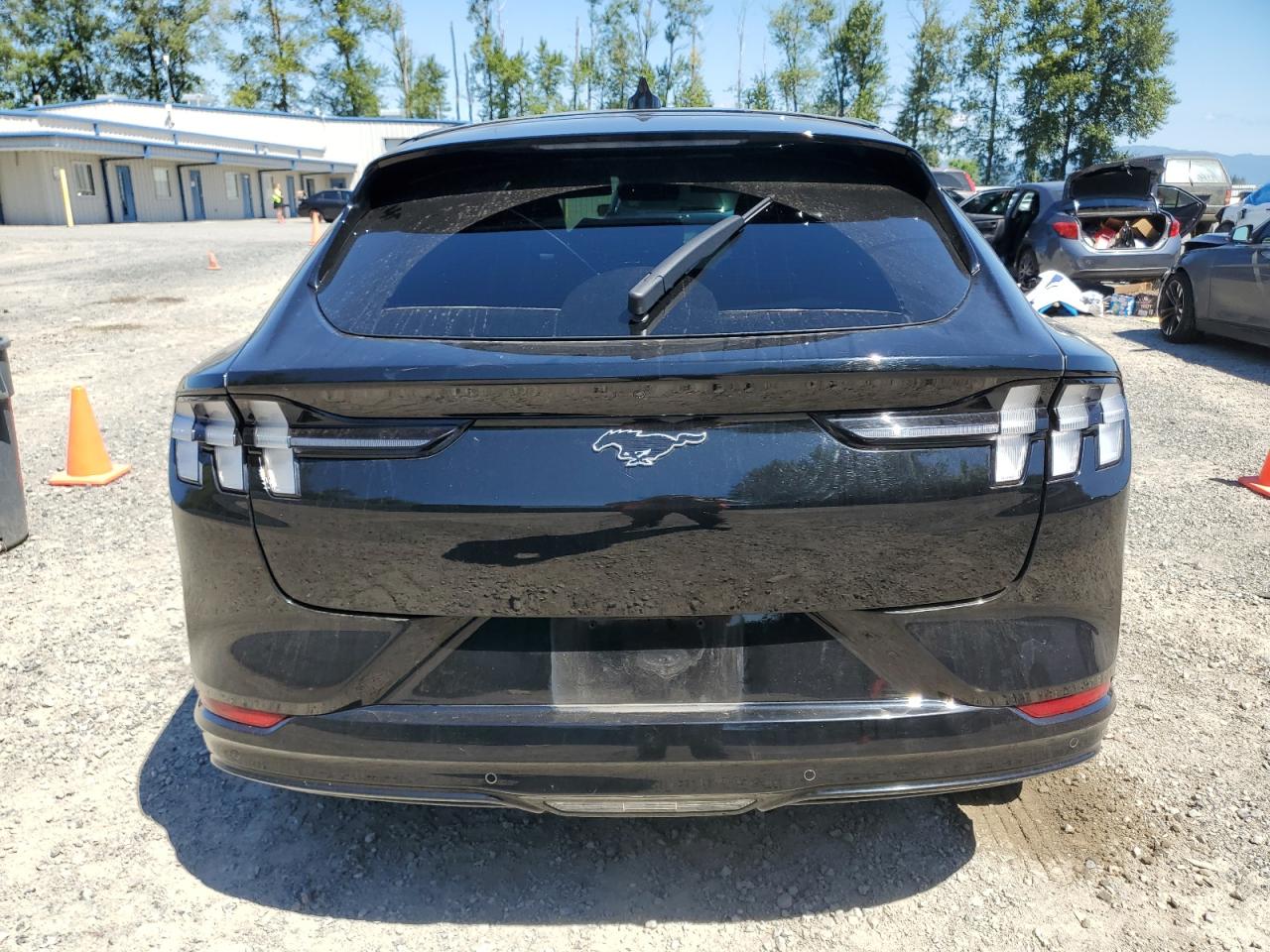 2021 Ford Mustang Mach-E Premium VIN: 3FMTK3SU9MMA03230 Lot: 63529245