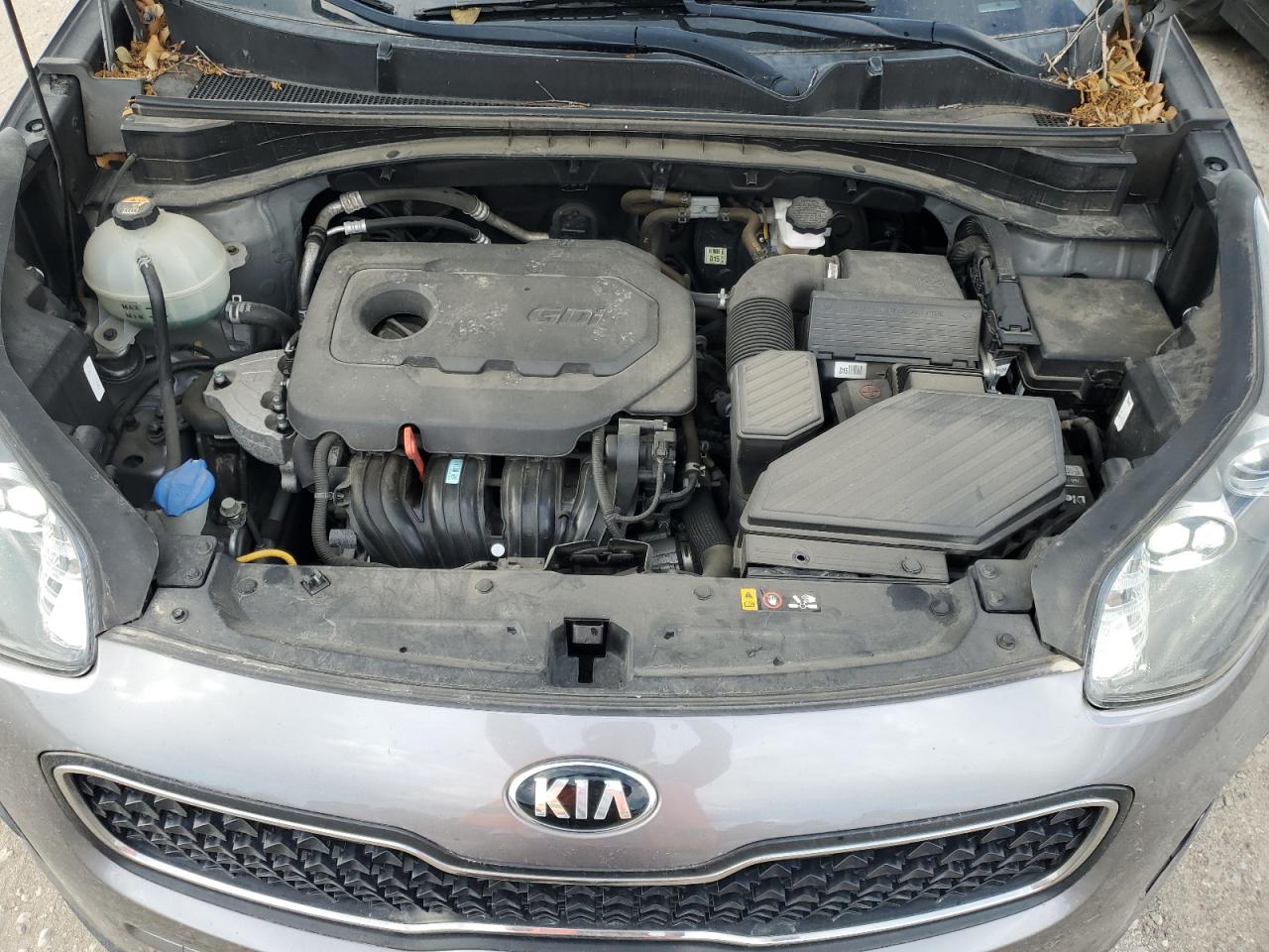 2019 Kia Sportage Lx VIN: KNDPM3AC9K7561420 Lot: 63677135