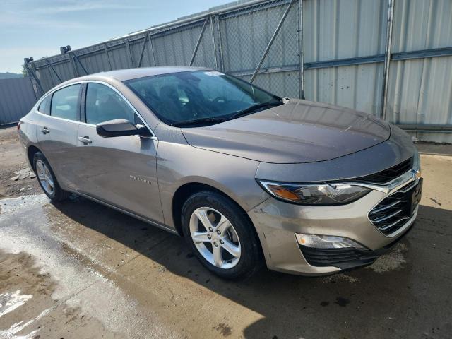  CHEVROLET MALIBU 2024 Gold