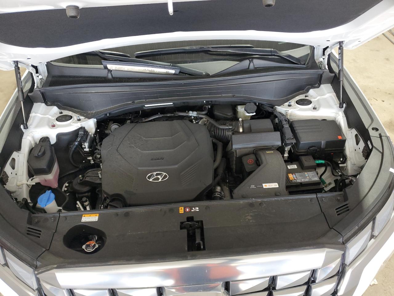 2025 Hyundai Palisade Calligraphy VIN: KM8R7DGE8SU853877 Lot: 64552515