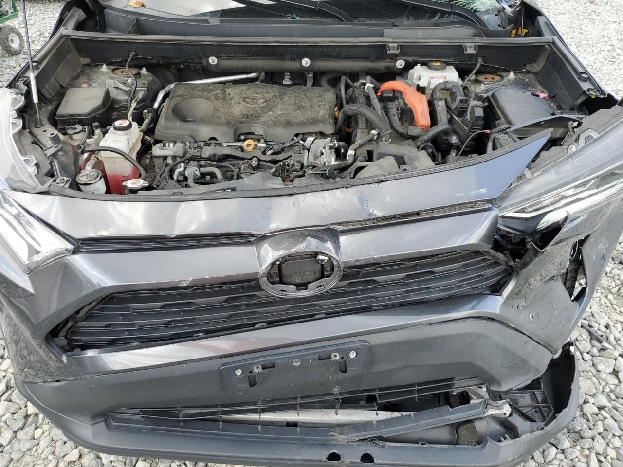 2020 Toyota Rav4 Xle VIN: 2T3RWRFV1LW093043 Lot: 64931965