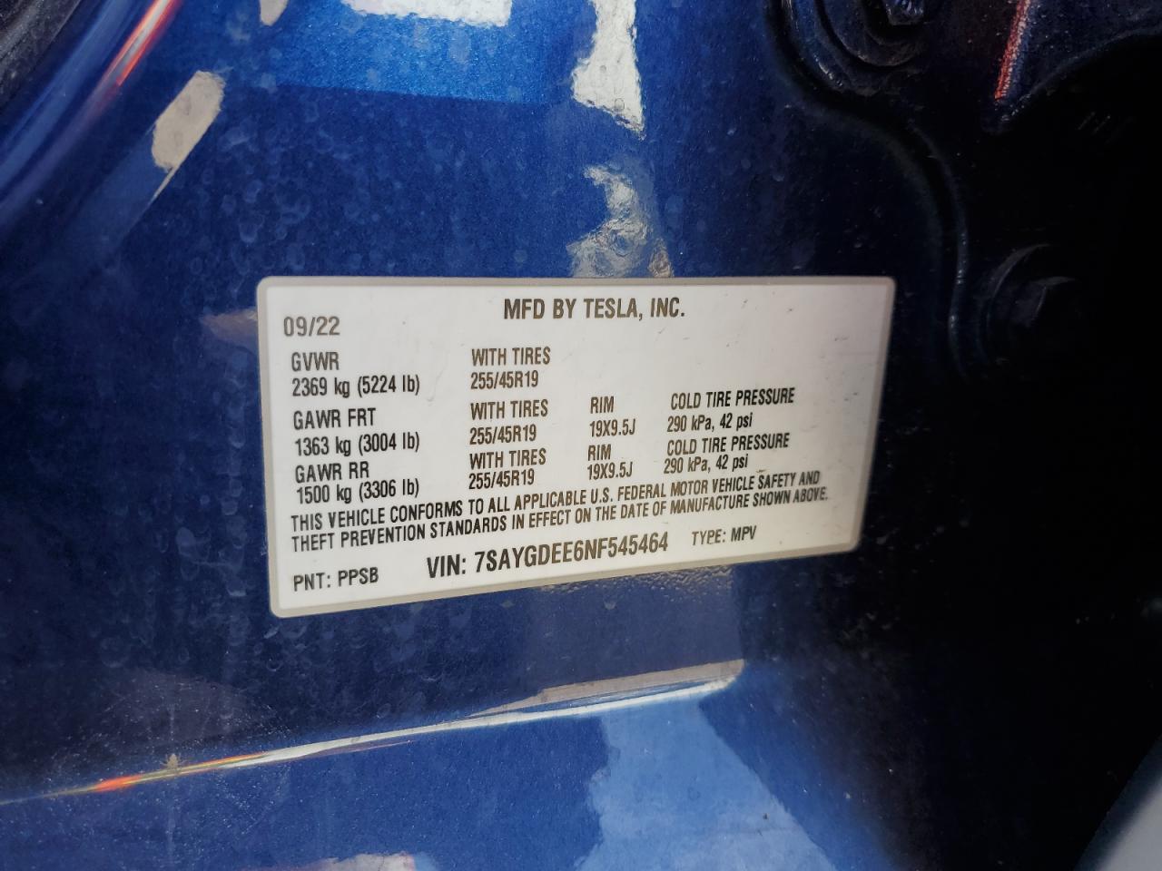 2022 Tesla Model Y VIN: 7SAYGDEE6NF545464 Lot: 64867845