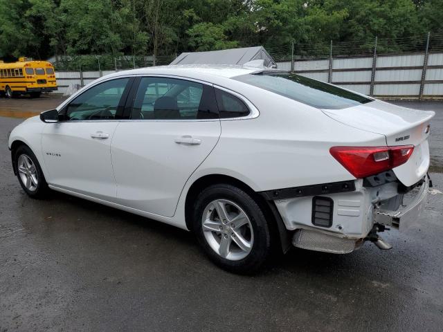  CHEVROLET MALIBU 2024 Biały