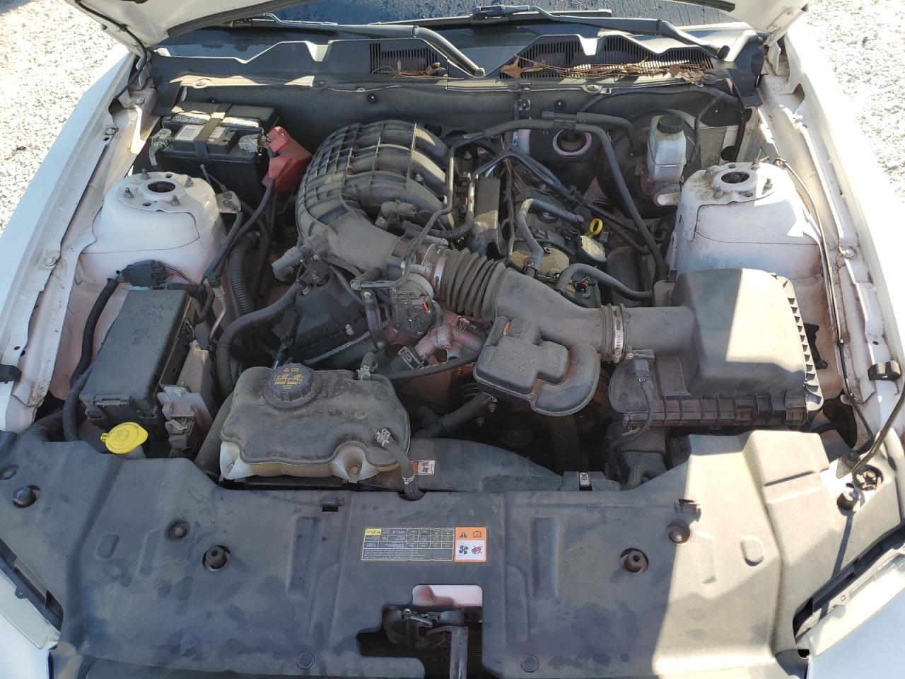 2013 Ford Mustang VIN: 1ZVBP8AM9D5280981 Lot: 64562585