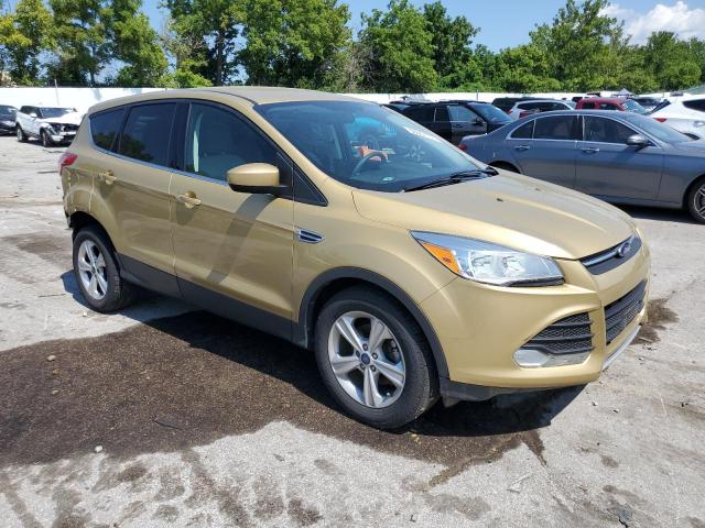 Parquets FORD ESCAPE 2014 Złoty