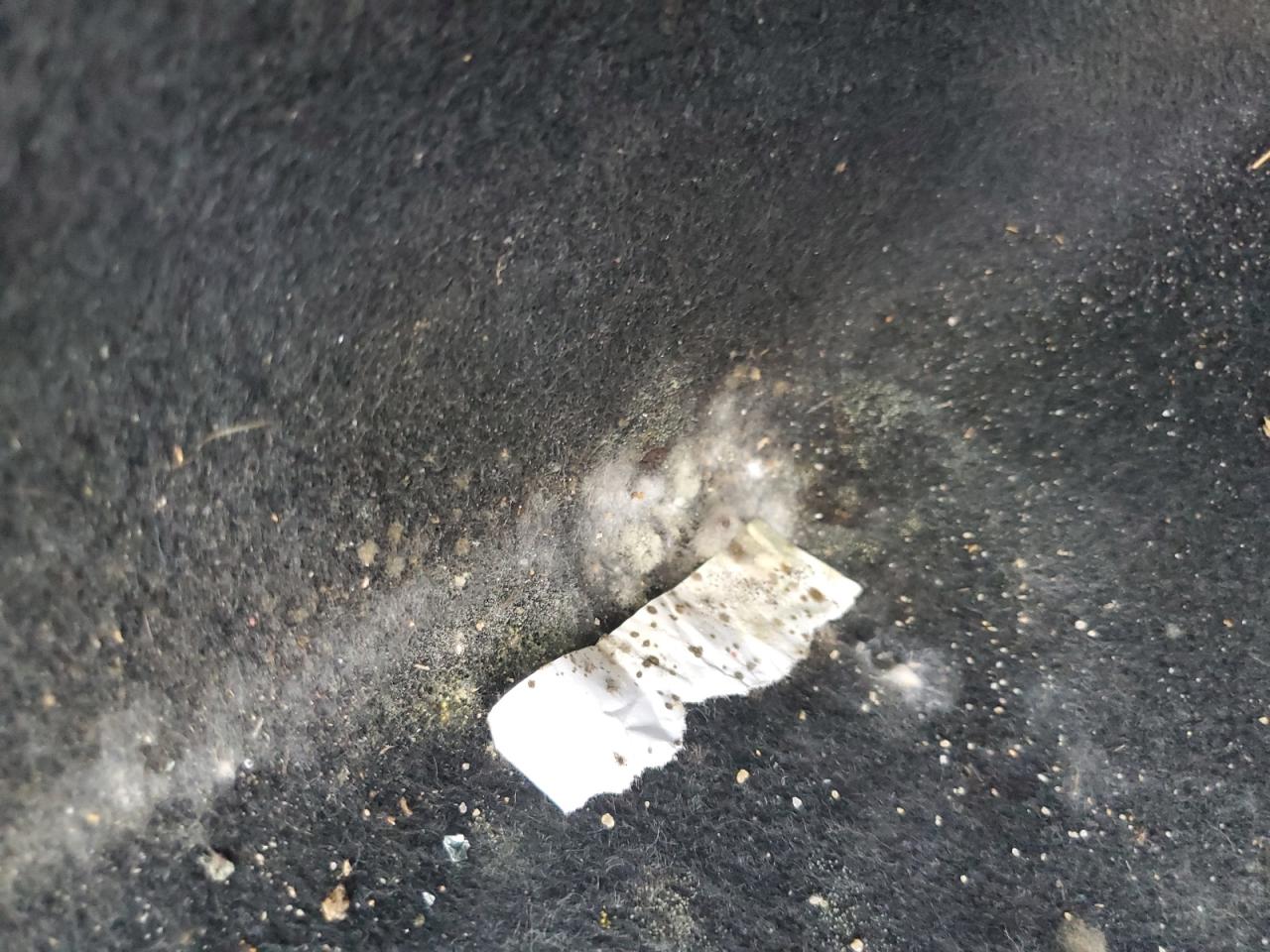 2016 Honda Civic Lx VIN: 19XFC2F5XGE206587 Lot: 61048245