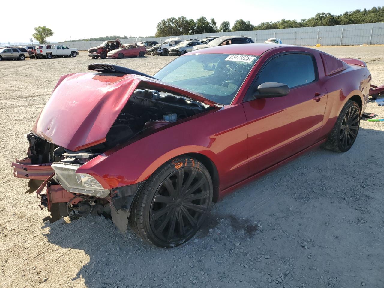 2014 Ford Mustang VIN: 1ZVBP8AM9E5250526 Lot: 65471825