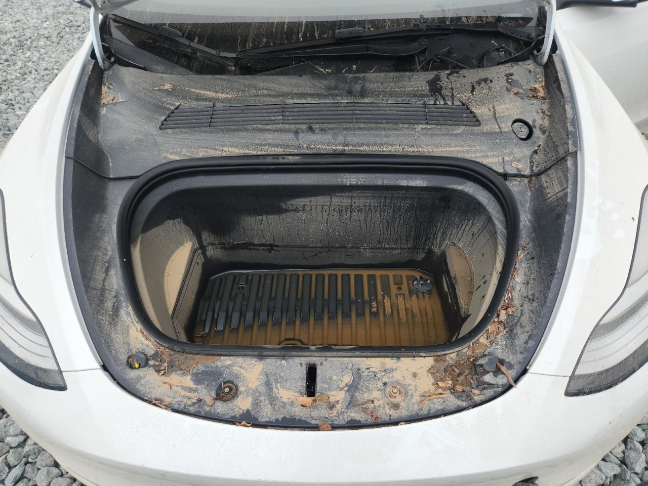 2022 Tesla Model Y VIN: 7SAYGDEE5NF395315 Lot: 64172075