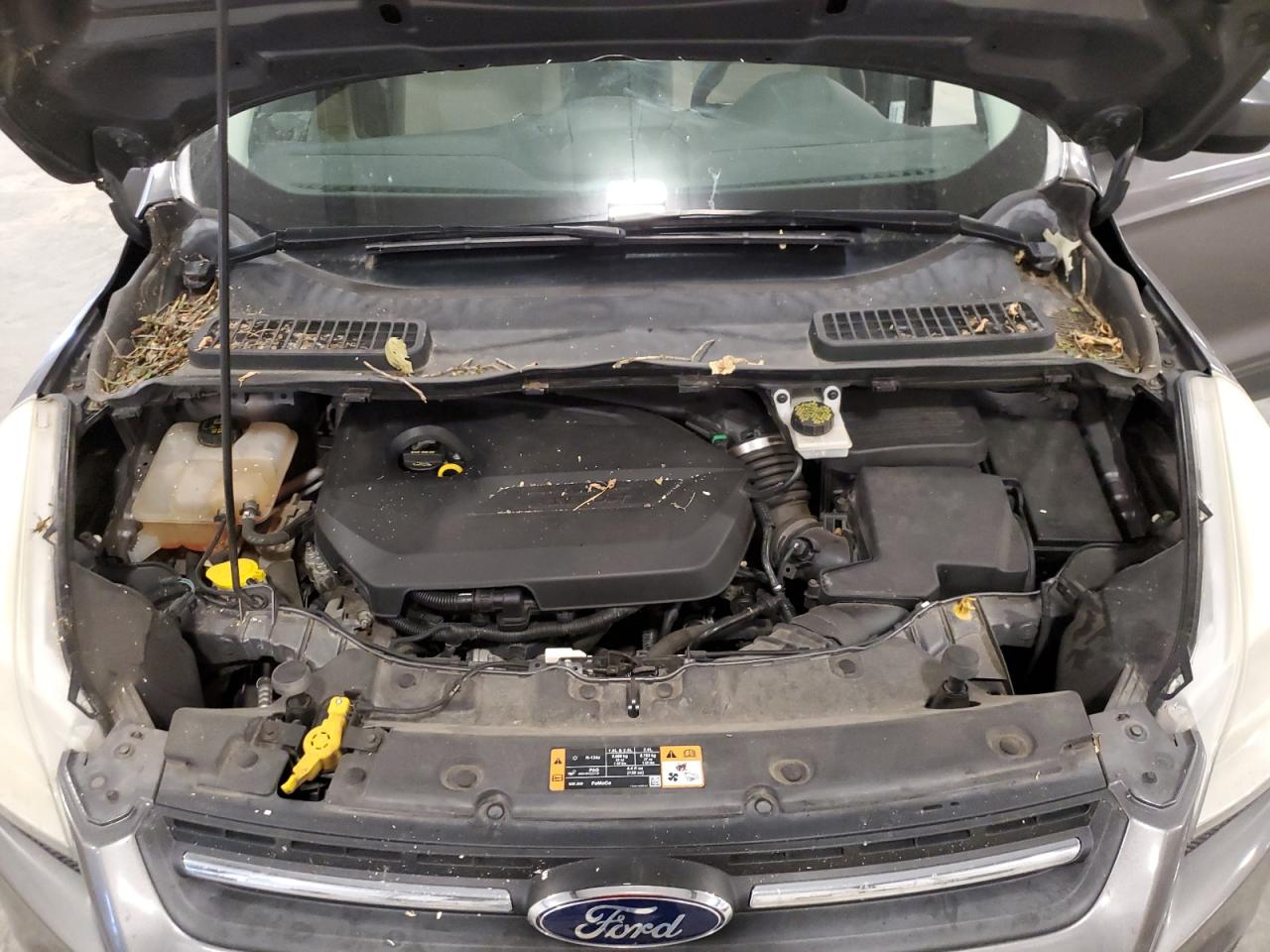 2014 Ford Escape Se VIN: 1FMCU9GX8EUE09741 Lot: 66797395