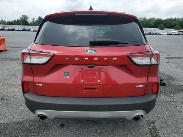  FORD ESCAPE 2020 Czerwony