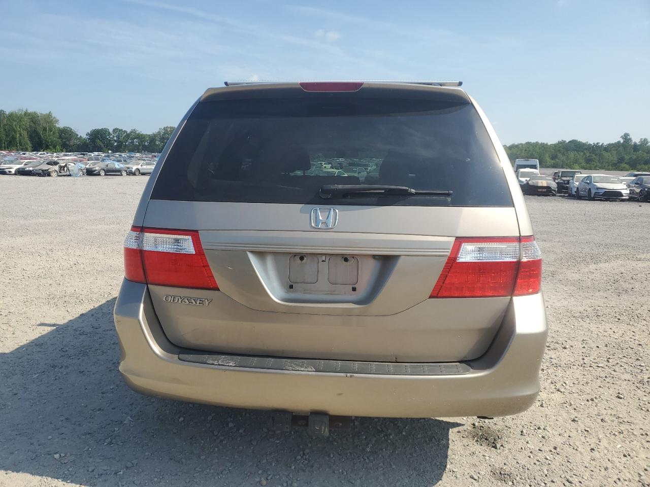 2007 Honda Odyssey Exl VIN: 5FNRL38757B409950 Lot: 62826105
