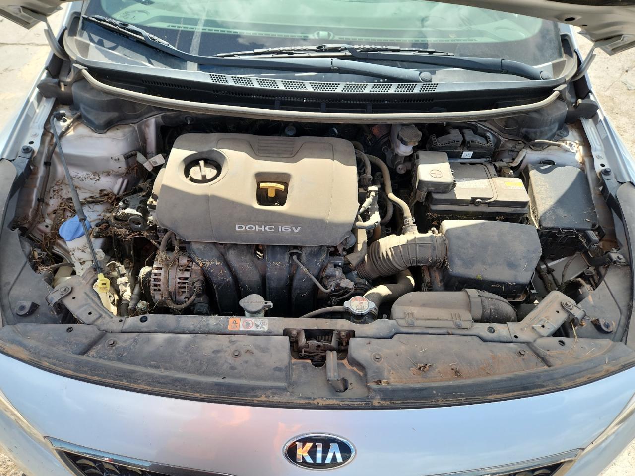 2017 Kia Forte Lx VIN: 3KPFK4A74HE135122 Lot: 64955005