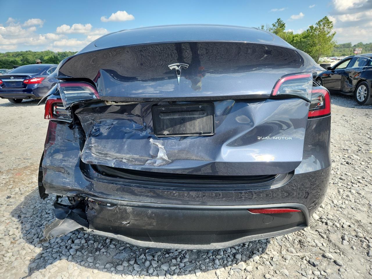 2023 Tesla Model Y VIN: 7SAYGDEE4PF709782 Lot: 62826475