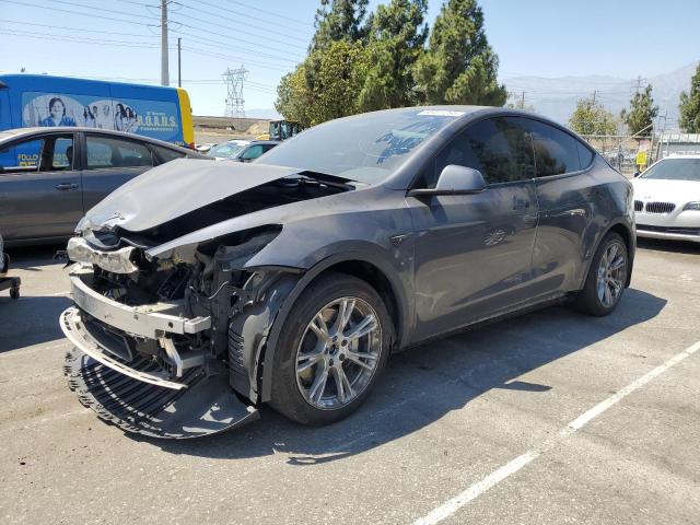  TESLA MODEL Y 2023 Szary