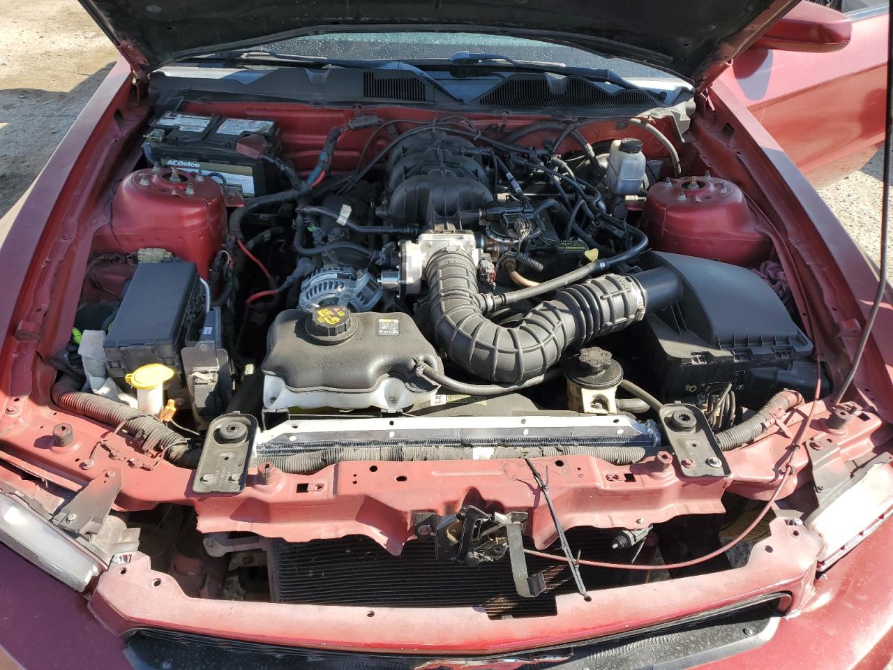 2010 Ford Mustang VIN: 1ZVBP8ANXA5107555 Lot: 63147195