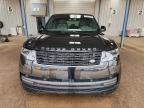 2024 LAND ROVER RANGE ROVER SE   for sale at Copart CO - DENVER