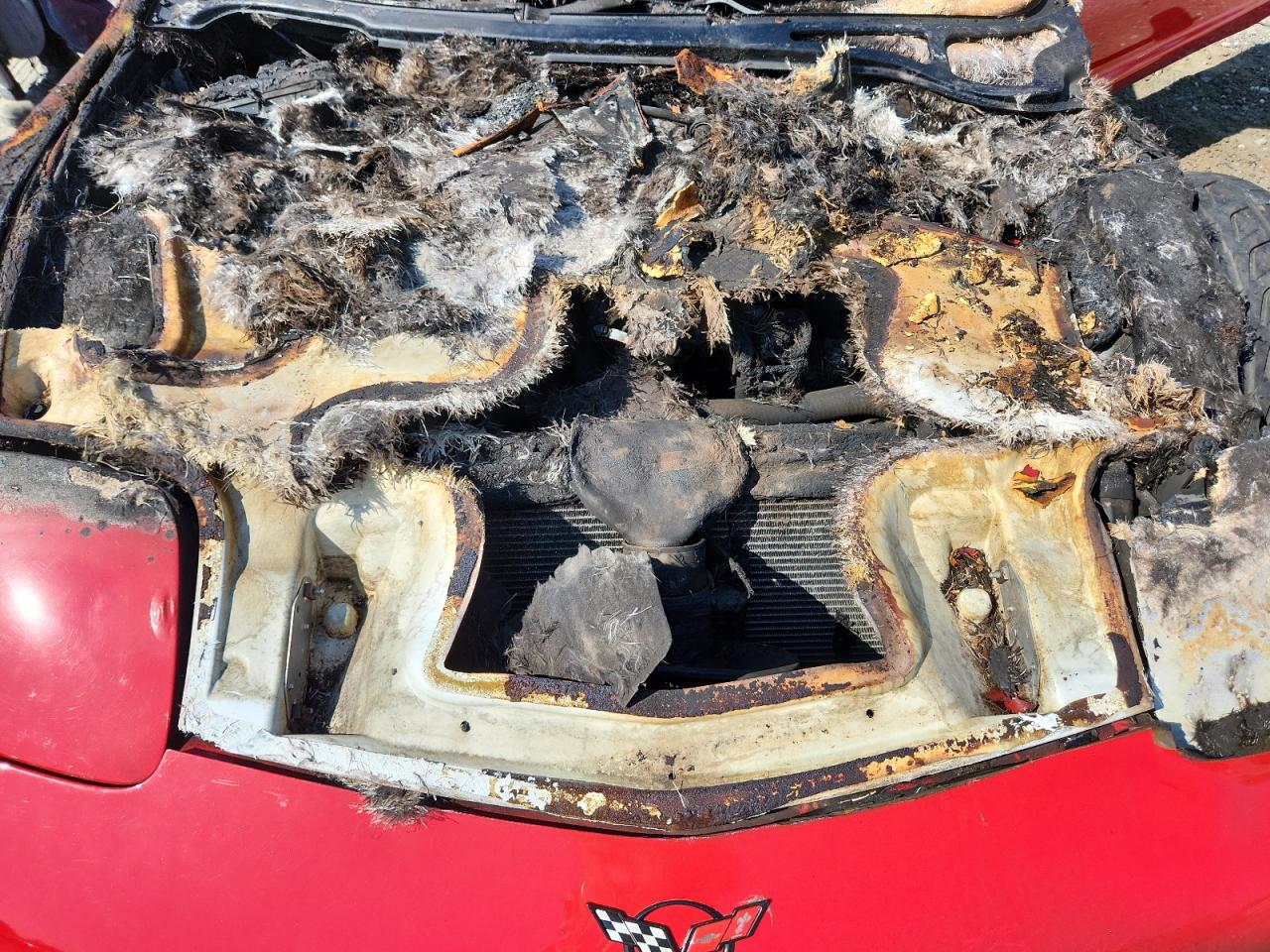 1g1yy12s025108200 1G1YY12S025108200 2002 Chevrolet Corvette Z06