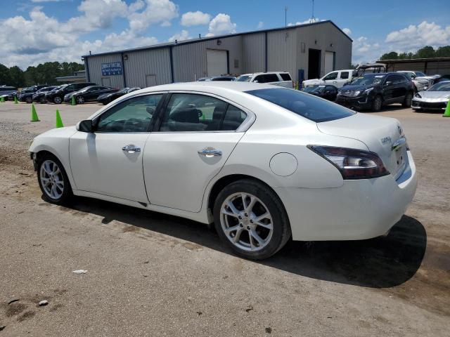  NISSAN MAXIMA 2014 White
