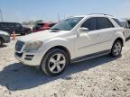 2011 MERCEDES-BENZ ML 350   for sale at Copart TX - WACO