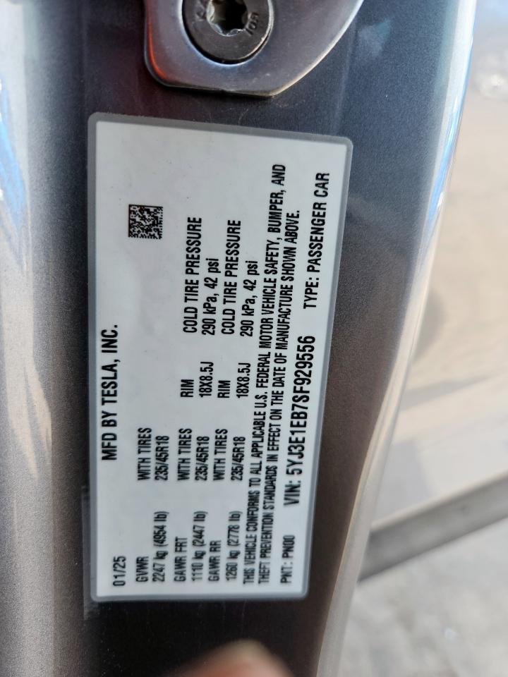 2025 Tesla Model 3 VIN: 5YJ3E1EB7SF929556 Lot: 65008395