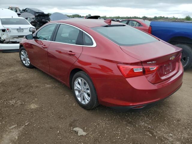  CHEVROLET MALIBU 2024 Czerwony