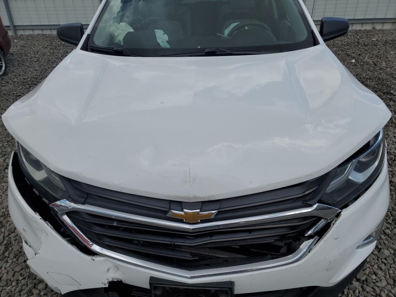 2019 Chevrolet Equinox Ls VIN: 2GNAXSEV8K6275617 Lot: 63263705