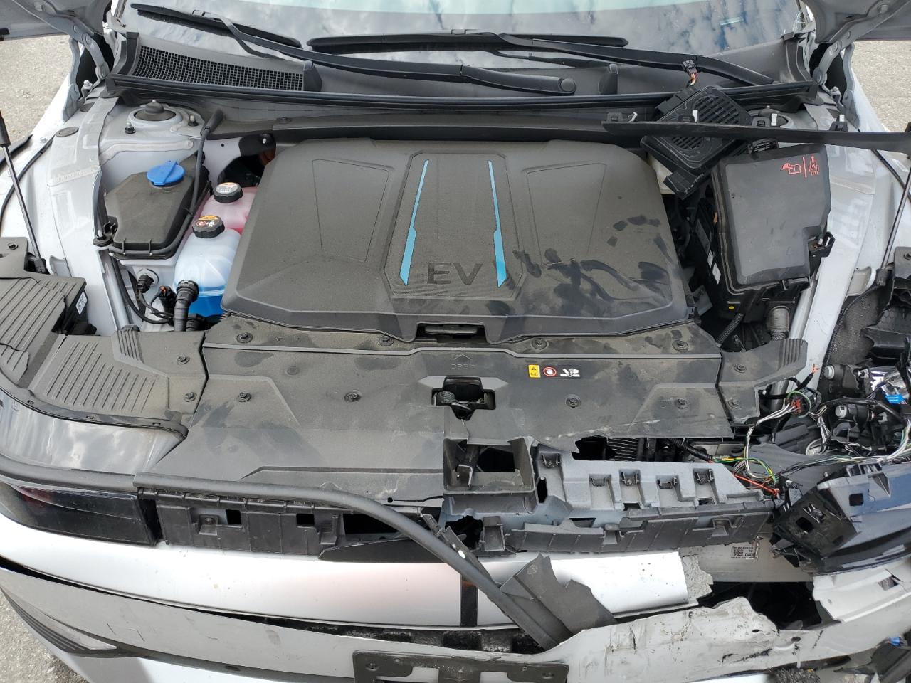 2024 Hyundai Ioniq 5 Sel VIN: KM8KN4DE6RU307651 Lot: 64863495