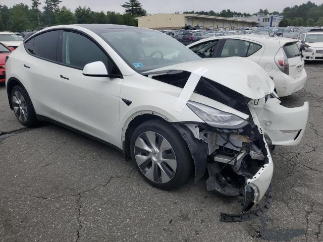  TESLA MODEL Y 2023 White