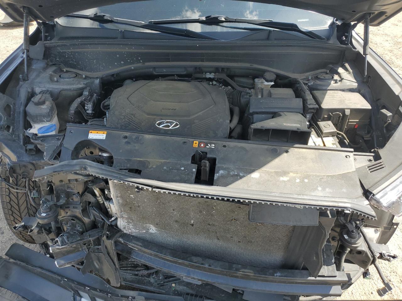 2021 Hyundai Palisade Sel VIN: KM8R3DHE8MU279505 Lot: 64002435