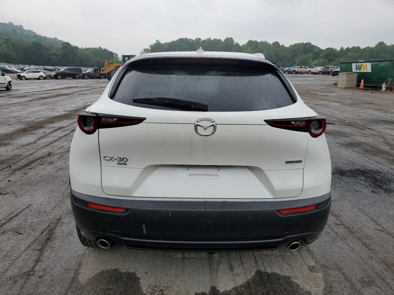 2025 Mazda Cx-30 Premium VIN: 3MVDMBDM9SM789942 Lot: 64562745