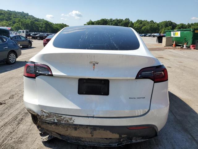  TESLA MODEL Y 2023 Biały