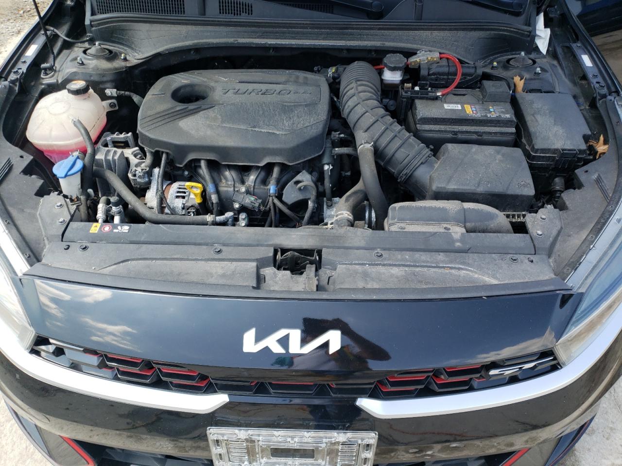 2022 Kia Forte Gt VIN: 3KPF44AC4NE429686 Lot: 65953225