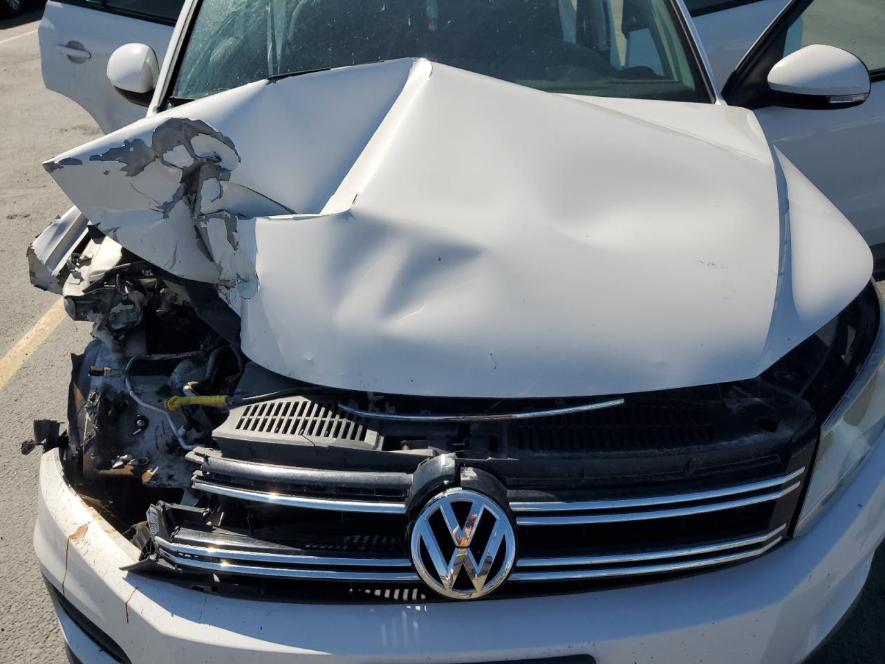 2014 Volkswagen Tiguan S VIN: WVGAV3AX9EW502041 Lot: 63253045