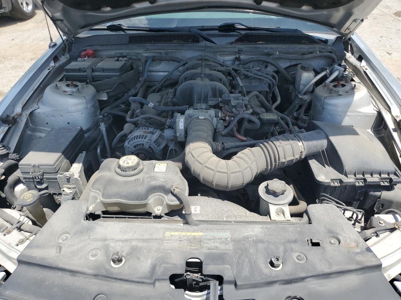 2009 Ford Mustang VIN: 1ZVHT80N095138283 Lot: 63995925