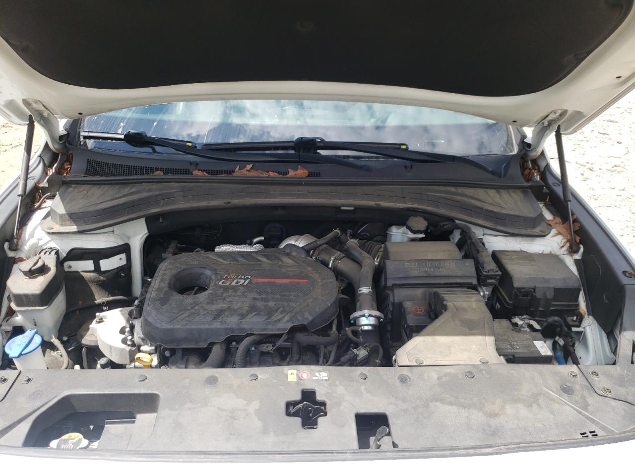 2020 Hyundai Santa Fe Sel VIN: 5NMS33AA6LH165564 Lot: 64628535