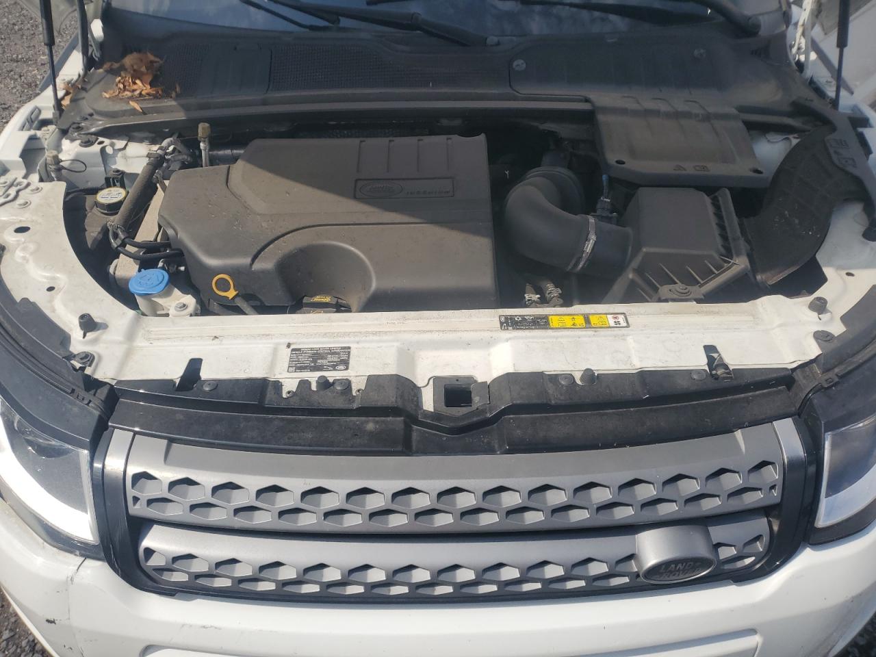 2019 Land Rover Range Rover Evoque Se VIN: SALVP2RX1KH339876 Lot: 64587935