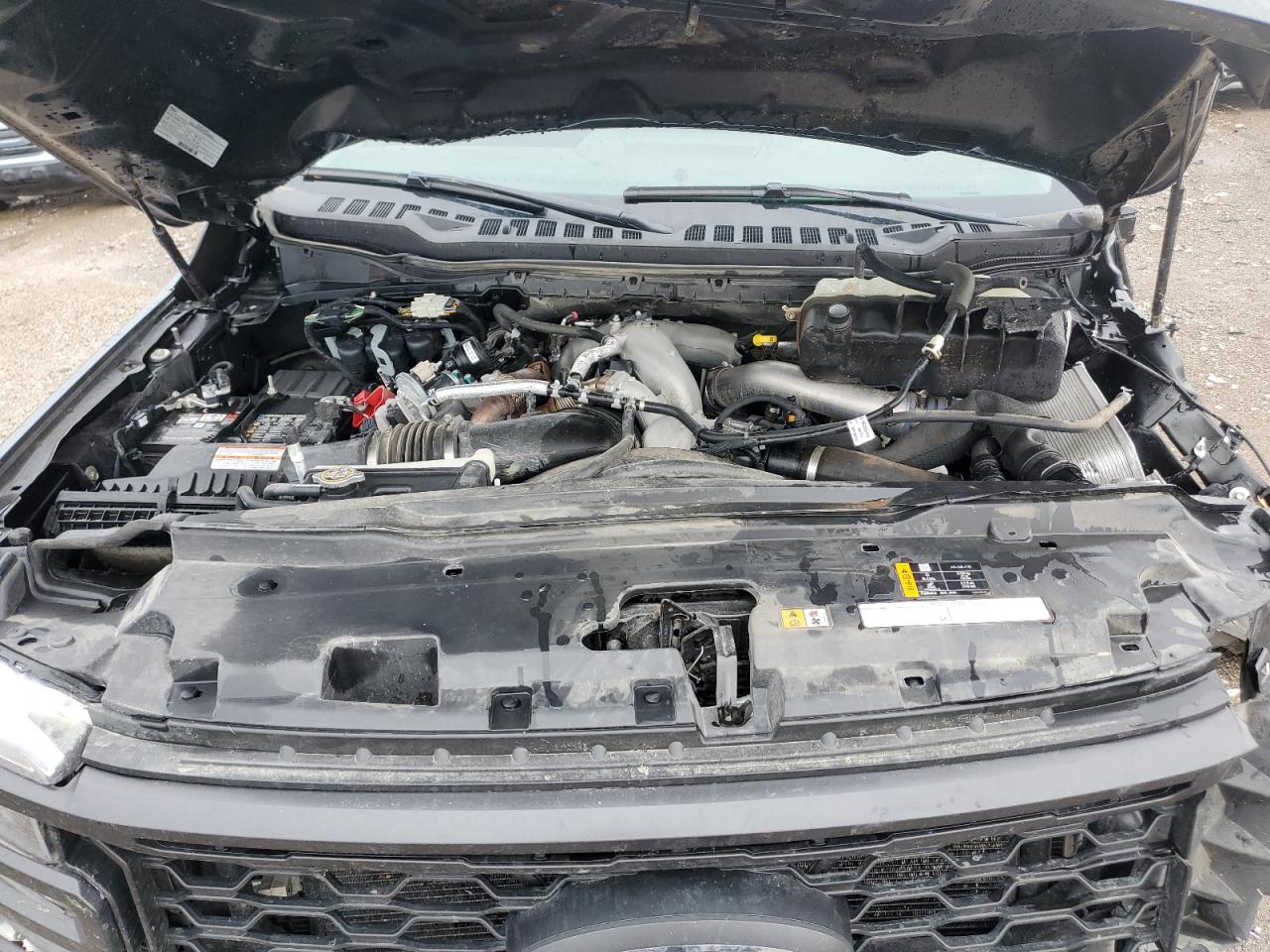 2024 Ford F250 Super Duty VIN: 1FT8W2BT0REE76043 Lot: 64681405